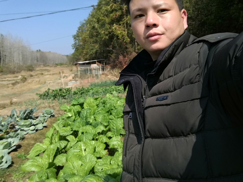 倔强的驴的第一张照片--南阳相亲服务中心
