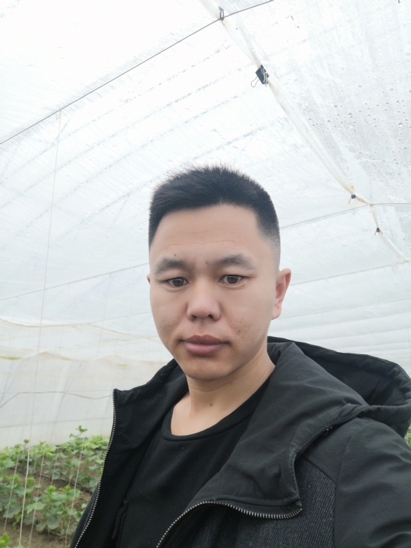 宇成的第二张照片--南阳相亲服务中心