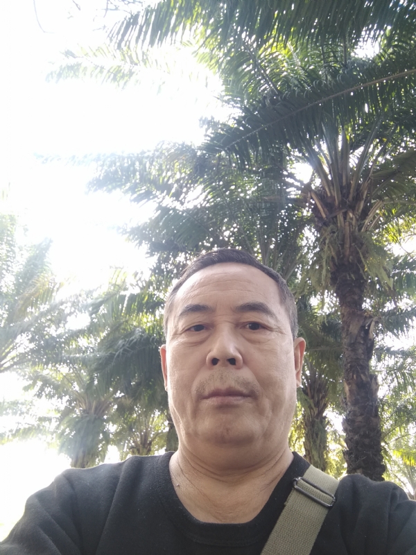 重振雄风的第二张照片--南阳相亲服务中心