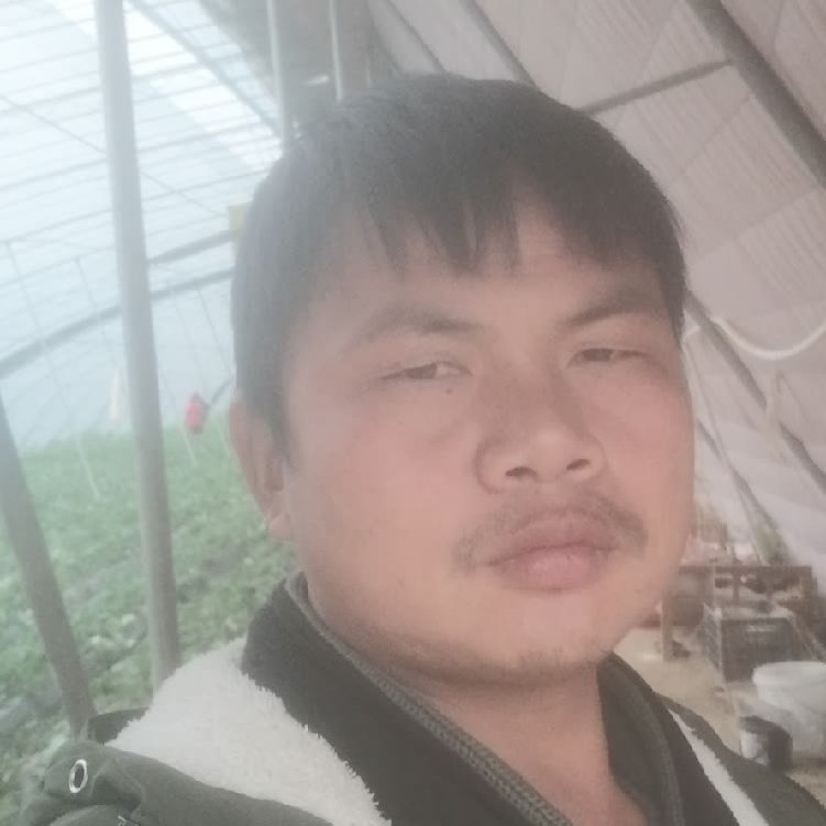孤狼‘的第一张照片--南阳相亲服务中心