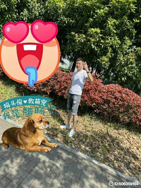 我若不坚强谁替我勇敢的第一张照片--南阳相亲服务中心
